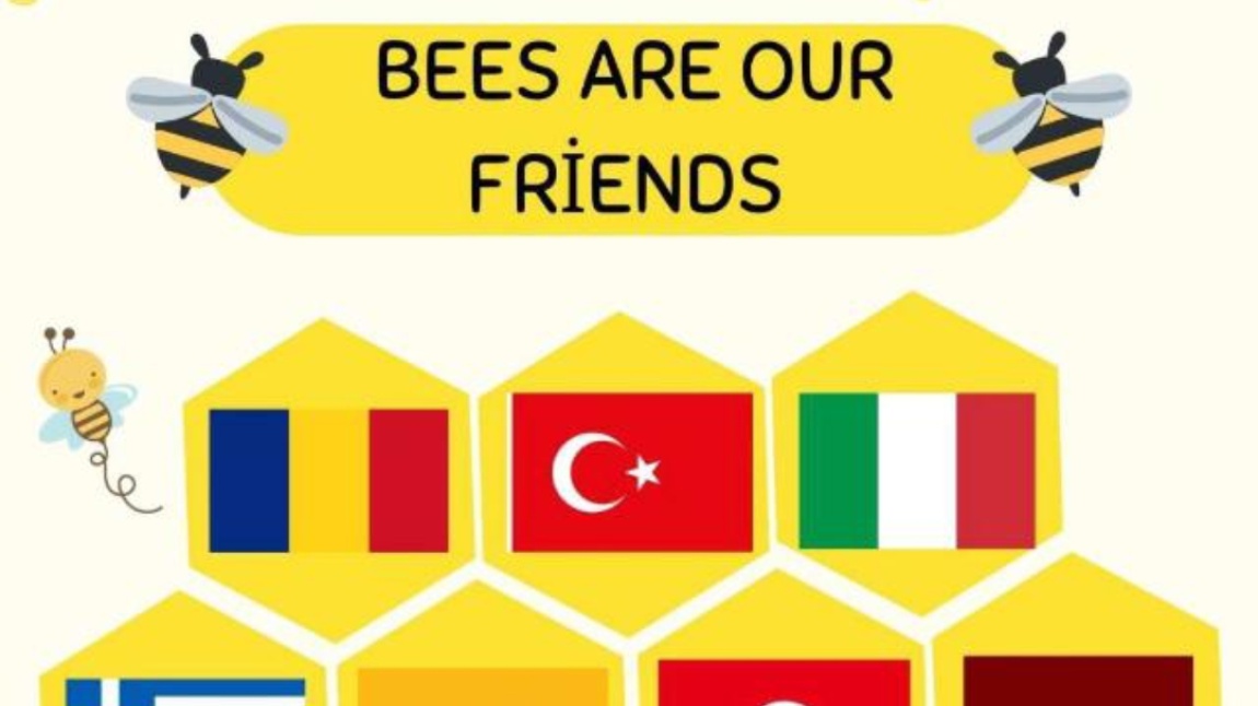 Bees Are Our Friends E-Twinning Projemizi Başlattık